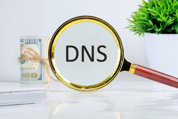 Kesimpulan DNS Server: Fungsi, Cara Kerja, dan Keamanannya