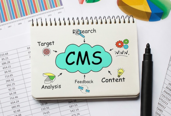 10 Contoh CMS Populer: Fitur dan Kegunaannya untuk Website